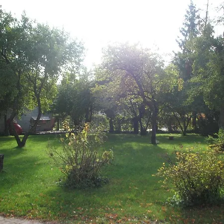 Artis Pärnu